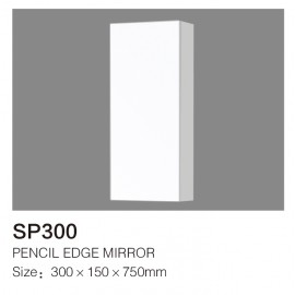 SP300 Shaving Cabinet